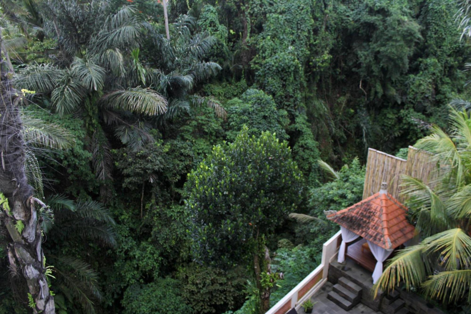 Hanaka Riverside Ubud Esterno foto